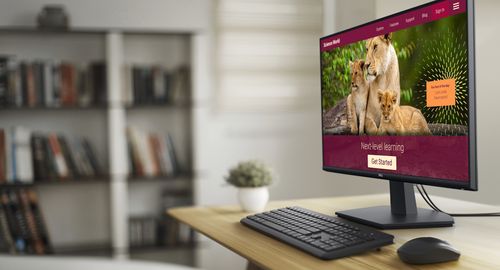 מסך מחשב Dell 24 SE2425HM 