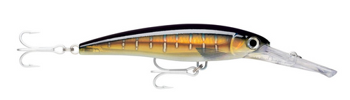 דמוי לטרולינג צבע  RAPALA XRMAG 20 X-RAP MAGNUM 20FT -GGHU 