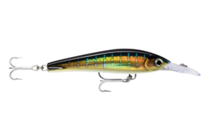 דמוי לטרולינג צבע  Rapala X-rap Magnum Xtreme 160 HDSFU HD SAILFISH UV