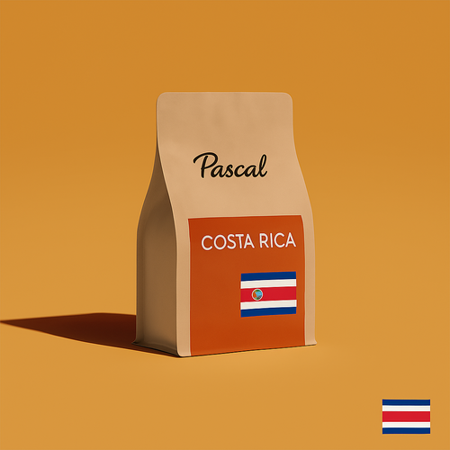 קפה ירוק 1 קילו גורמה מקוסטה ריקה – Pascale Costa Rica Premium Roast