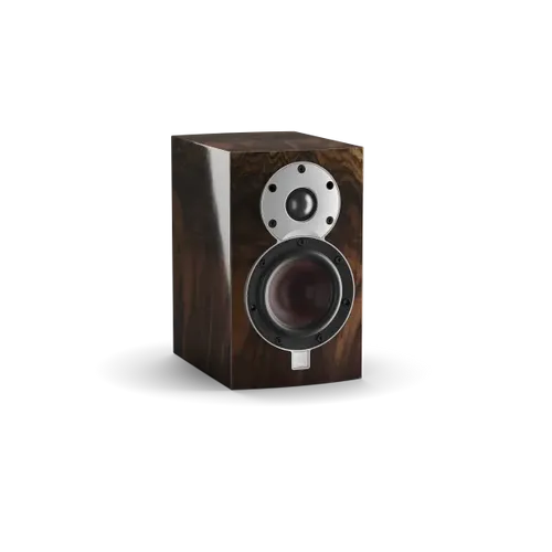 Wild Walnut (High Gloss Veneer)