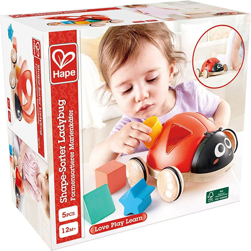 התאמת צורות חיפושית HAPE