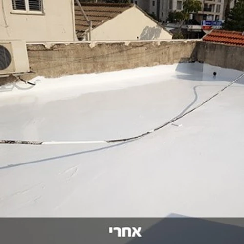 בלאק ג'ק 120 - חומר איטום גגות 100% סיליקון - פח 18 ליטר