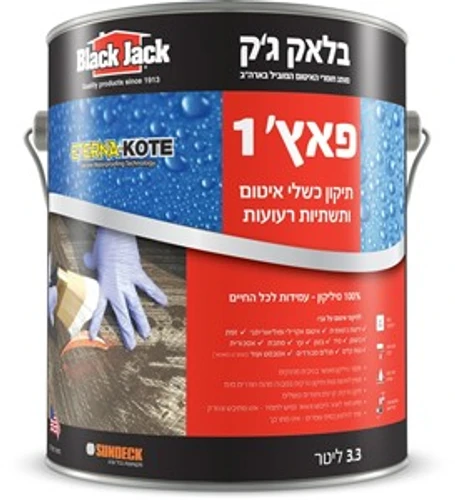 בלאק ג'ק פאץ' 1 - תיקון כשלי איטום ותשתיות רעועות - גלון 3.3 ליטר