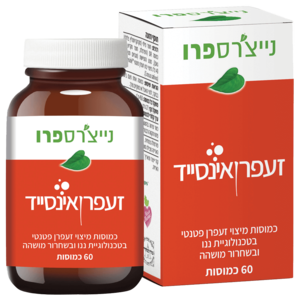 זעפרן אינסייד נייצ