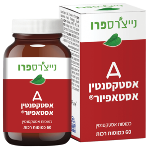 אסטאפיור נייצ