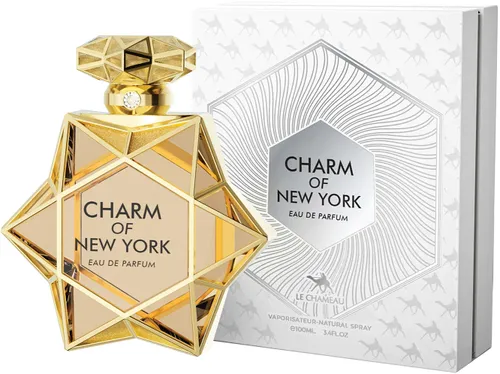 LE CHAMEAU CHARM OF NEWYORK