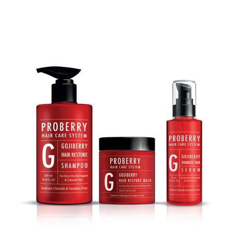פרוברי ערכת שיקום ריסטור לשיער יבש ופגום PROBERRY