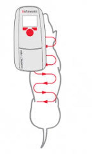 קורא שבבים  datamars compact מיני אוניברסאלי