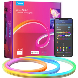 פס תאורת LED ניאון לקיר 5 מ