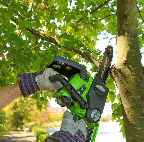 אדם גוזם ענף עץ באמצעות מסור שרשרת נטען Greenworks 24V בעל להב 10 אינץ', ברקע עצים ירוקים וסביבה טבעית.