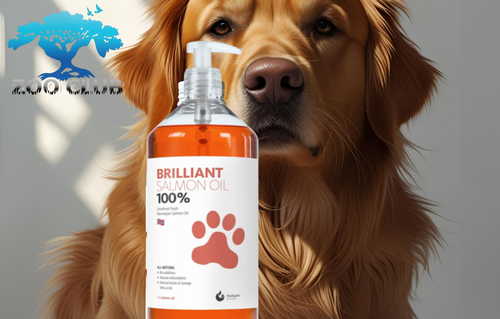 שמן סלמון Brilliant Salmon oil בריליאנט 300מל