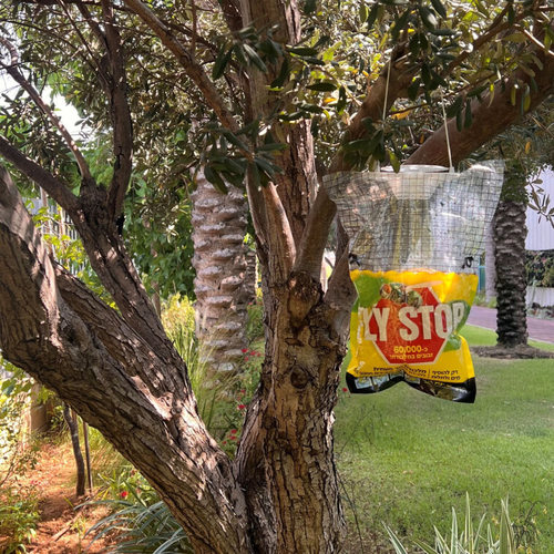 מלכודת זבובים ומעופפים יעילה עם פיתיון חזק (חד פעמי) גדול FLY STOP