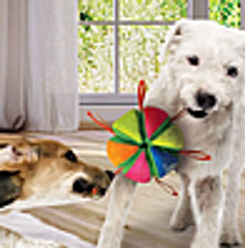 בובת משחק נרף כדור ניילון וקטיפה לכלבים - Nerf Wedge Ball Dog Toy