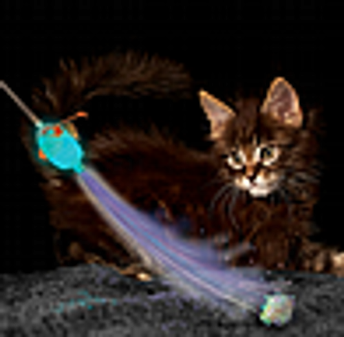 משחק לחתול קונג חכה שפירית זוהרת - KONG for Cats Teaser Glow Firefly