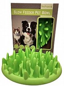 קערת פלסטיק להאכלה איטית - PetsProject Slow Feeder Pet Bowl