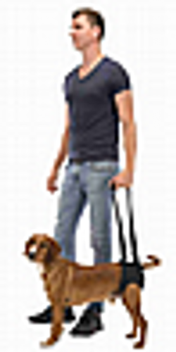 טריקסי רתמת עזרה בהליכה לארג' - Trixie Walking Aid L