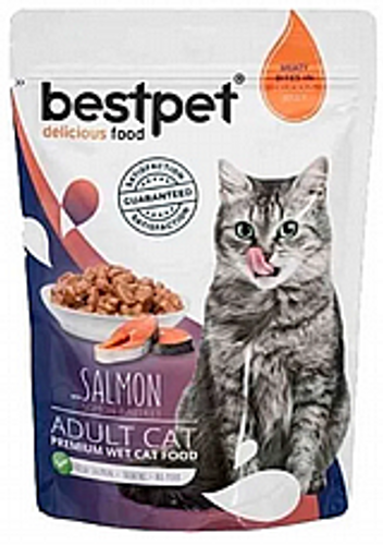 פאוץ בסטפט סלמון לחתולים 85 גרם - BESTPET