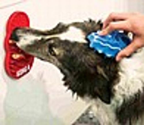קונג משטח ליקוק - Kong Licks Dog Feeder Small