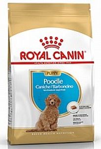רויאל קנין מזון לגורי כלבים מגזע פודל 3 ק"ג - Royal Canin Poodle Puppy