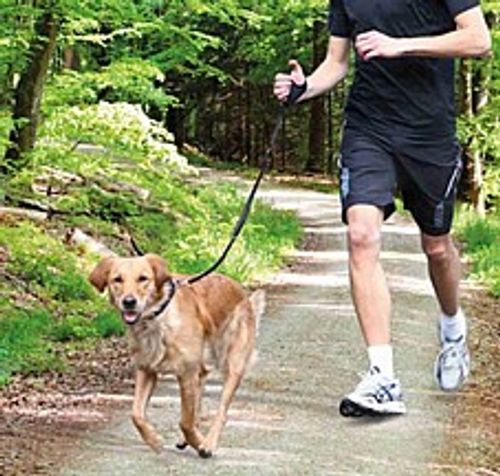 רצועת ג'וגינג כפפה - Trixie Jogging Leash