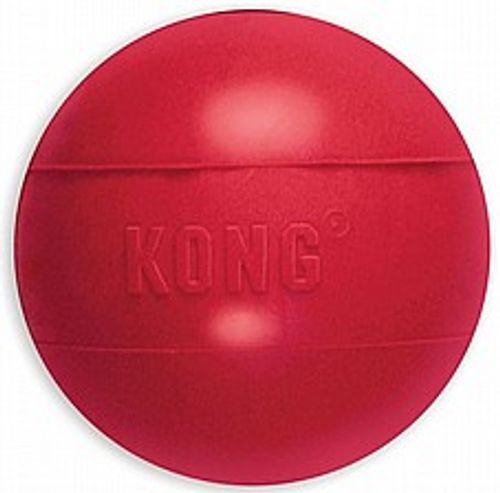 משחק לכלב כדור קונג גדול - KONG Ball M/L