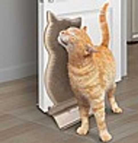 קונג הברשה עצמית לחתולים - Kong Connects Kitty Comber Self-Grooming for Cats