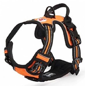 רתמה מרופדת לכלבים בינוניים - Reflective dog harness