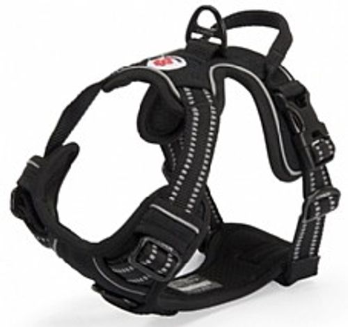 רתמה מרופדת לכלבים זעירים - Reflective dog harness