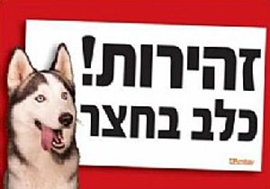 שלט זהירות כלב בחצר האסקי
