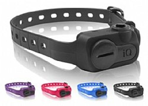 דוגטרה אי קיו קולר חשמלי נגד נביחות - Dogtra iQ No Bark Collar