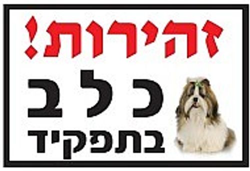 שלט זהירות כלב בתפקיד שיצו