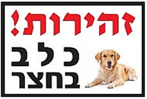 שלט זהירות כלב לברדור