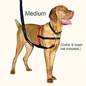 רתמת גוף האלטי לאילוף נגד משיכות בינונית - Halti Harness M