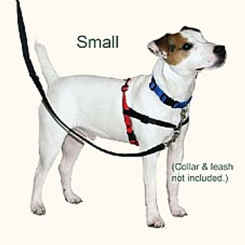 רתמת גוף האלטי לאילוף נגד משיכות קטנה - Halti Harness S