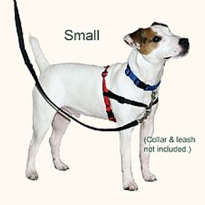 רתמת גוף האלטי לאילוף נגד משיכות קטנה - Halti Harness S