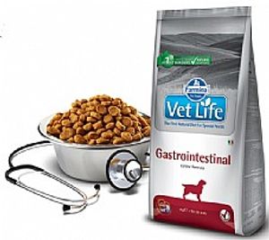 וט לייף אינטסטינל מזון רפואי לכלב 12 ק"ג - Farmina Vet Life Gastro-Intestinal