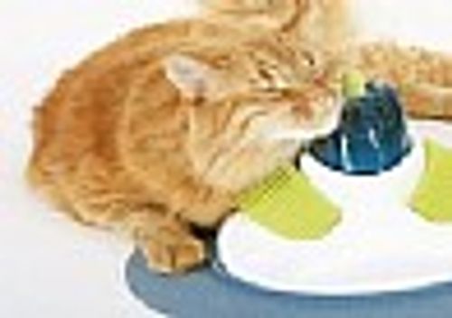 מסאז' סנטר מתקן עיסוי לחתול - cat it massage center