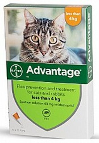 Advantage אמפולות - טיפול בפרעושים וקרציות לחתולים