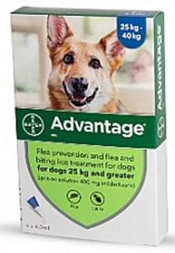 Advantage אמפולות - טיפול בפרעושים וקרציות לכלבים