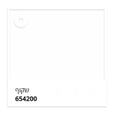 שקוף מבריק
