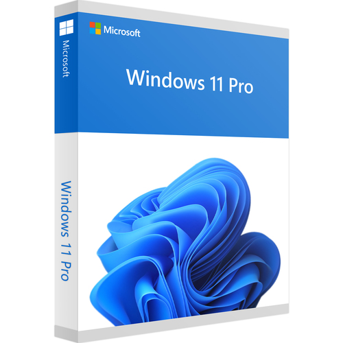 רשיון מ.הפעלה מיקרוסופט ווינדוס פרו בעברית Windows 11Pro Hebrew