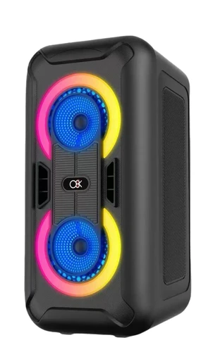 בידורית קריוקי 9 אינץ' 30W עם מיקרופון חוטי דגם BT-2452