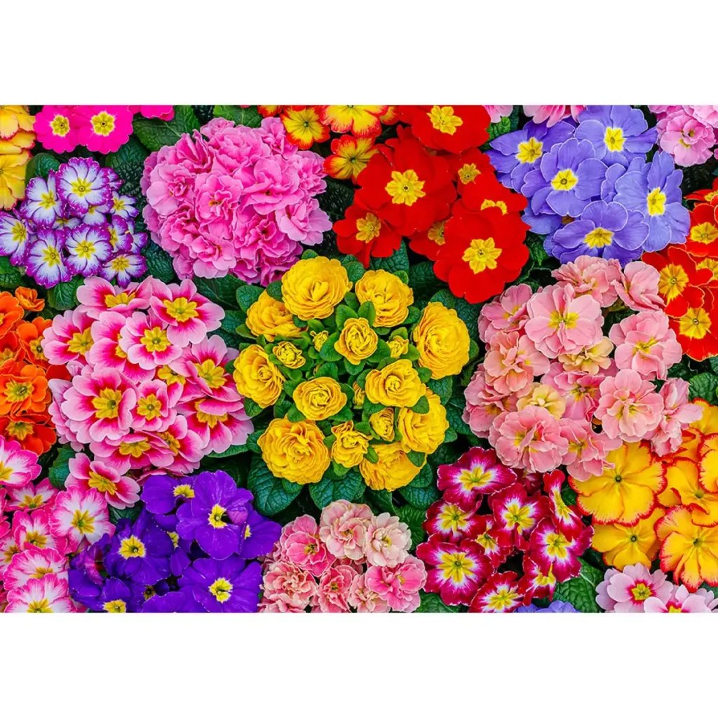 פאזל עץ 505 חלקים פריחת הפרחים L