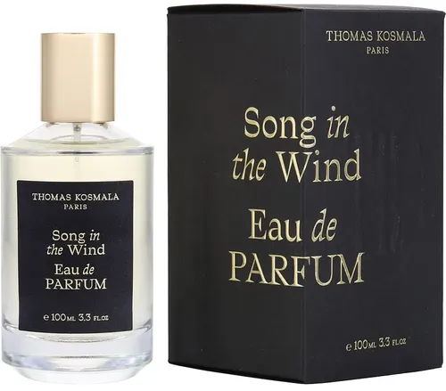 Thomas Kosmala  Song In The Wind