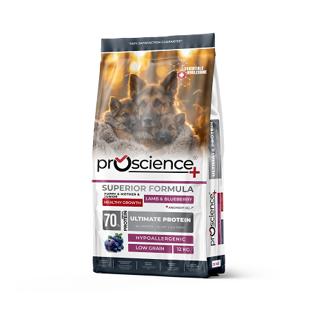 פרו סיינס Pro Science גור כבש ואוכמניות 12 ק"ג אוכל לכלב