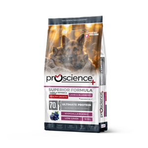 פרו סיינס Pro Science גור כבש ואוכמניות 12 ק"ג אוכל לכלב