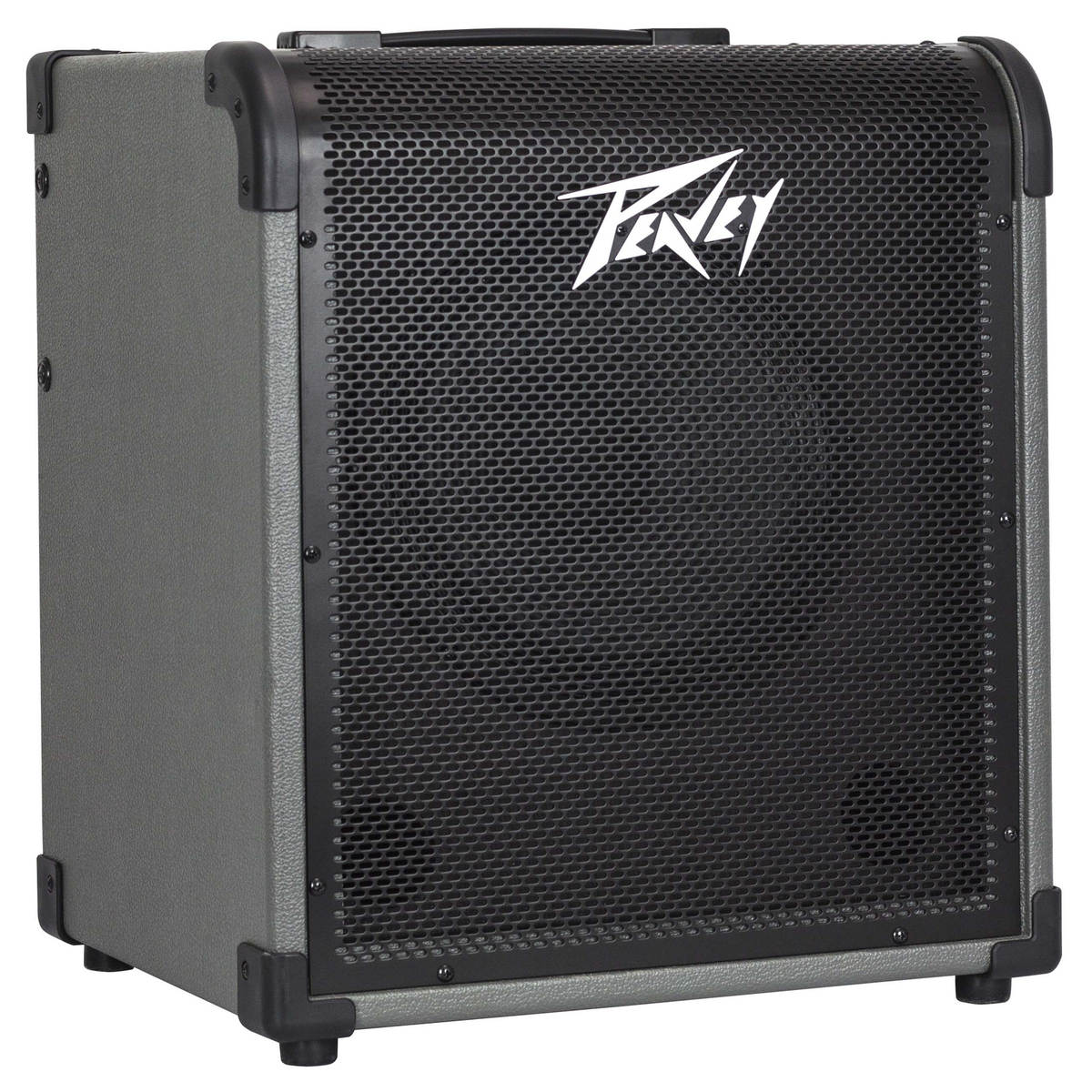 מגבר לבס 100W רמקול "10 PEAVEY MAX100