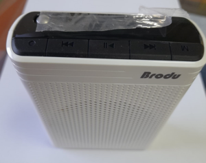 מגבר נייד מיקרופון אלחוטי עם רמקול BRODU BTS-1383 5W