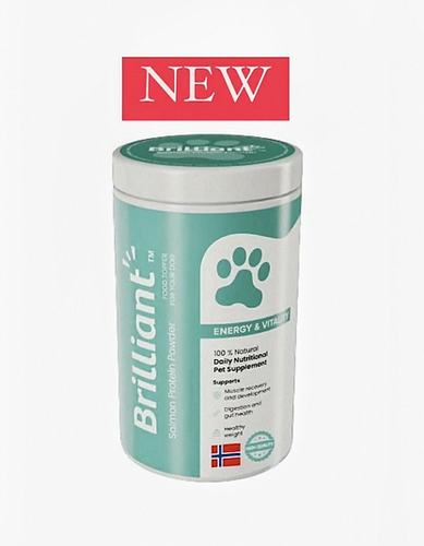 אבקת חלבון סלמון בריליאנט Brilliant Energy & Vitality Protein Powder